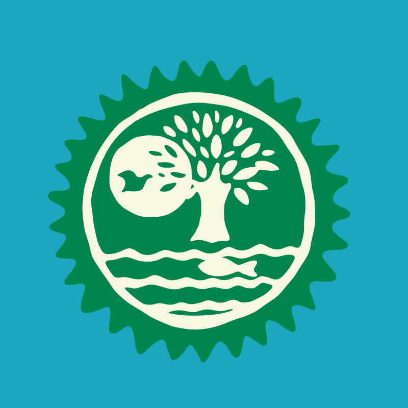 Old Logo illustration